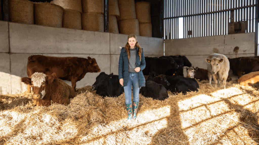 Young woman in a barn with cows