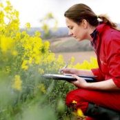 Farmer in a field